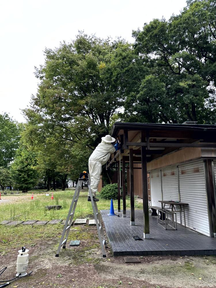 スズメバチ駆除